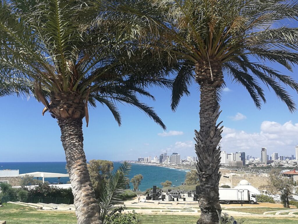 מבט פנורמי על פרויקטי נדלן בשכונת אגמים נתניה ליד פארק אגם החורף
