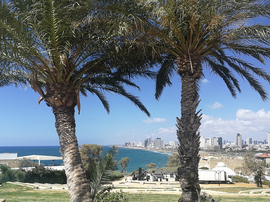 מבט פנורמי על פרויקטי נדלן בשכונת אגמים נתניה ליד פארק אגם החורף