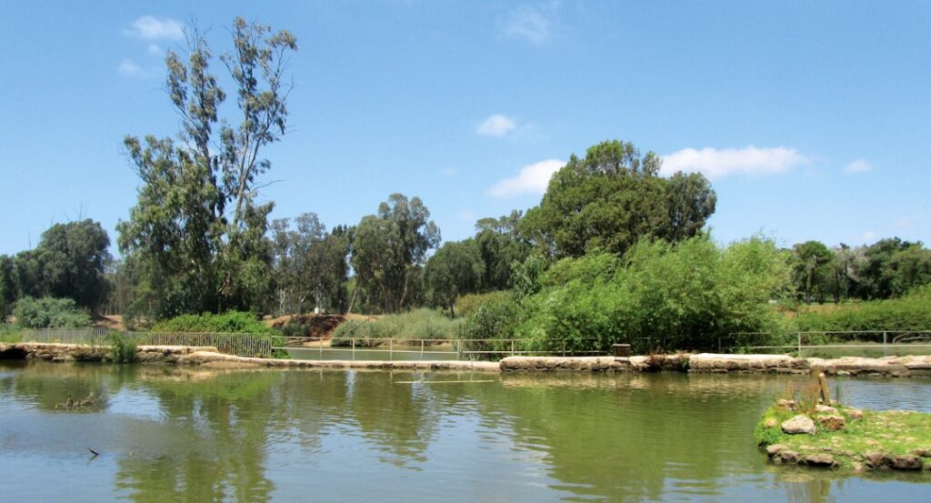 בנייני מגורים מודרניים ופארק ירוק המייצגים נדלן בשכונת אגמים נתניה