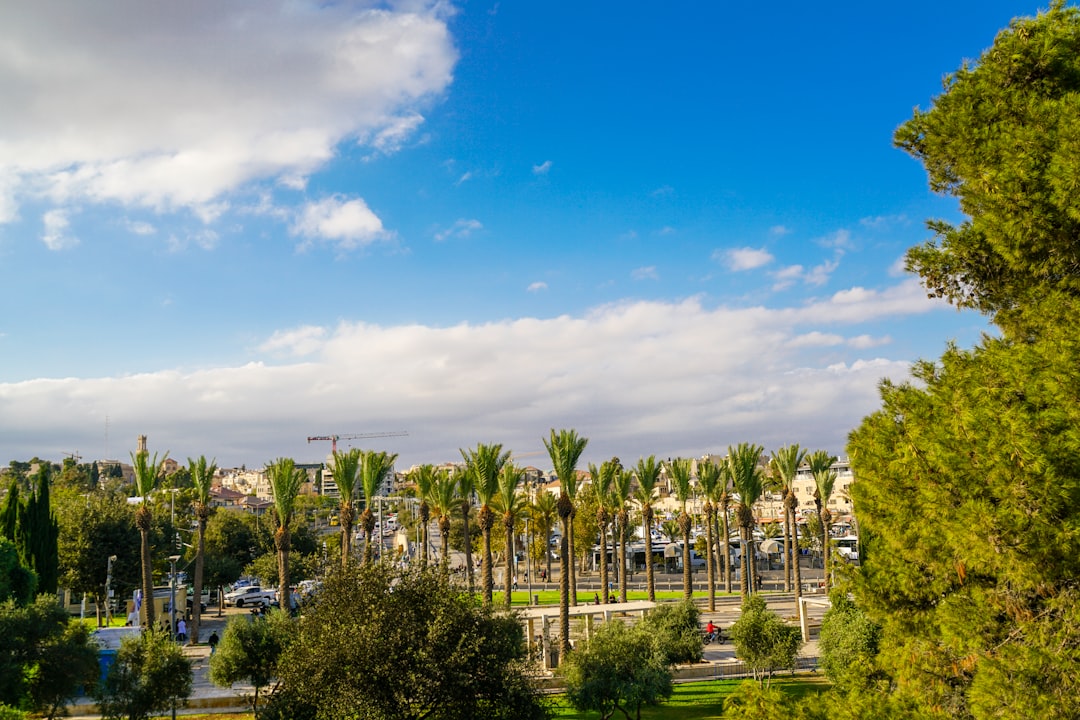מבט פנורמי על פרויקטי נדלן בשכונת אגמים נתניה ליד פארק שלולית החורף