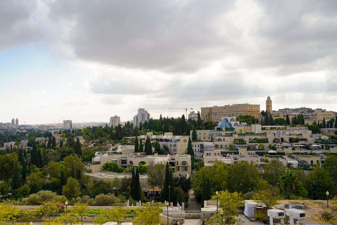 מבט על בנייני מגורים ושטחים ירוקים הממחישים את ה-ביקוש בקריית השרון